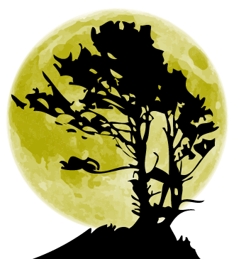 Shakin the Trees Multimedia